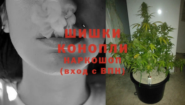 амф Дмитровск